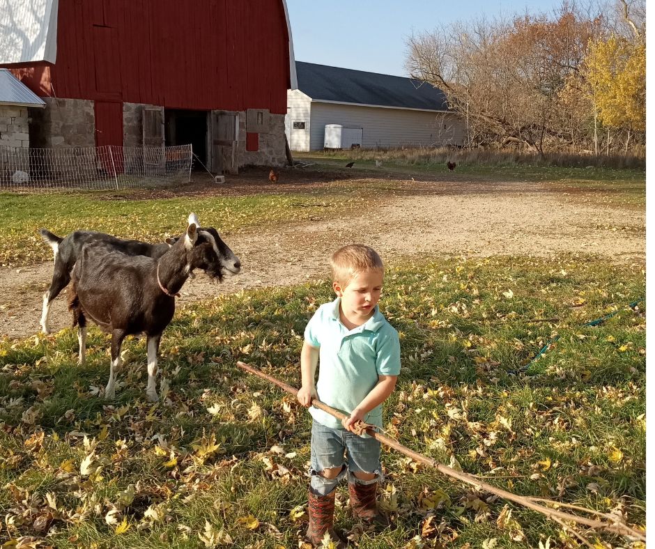 Changing Seasons and Nature's Gifts