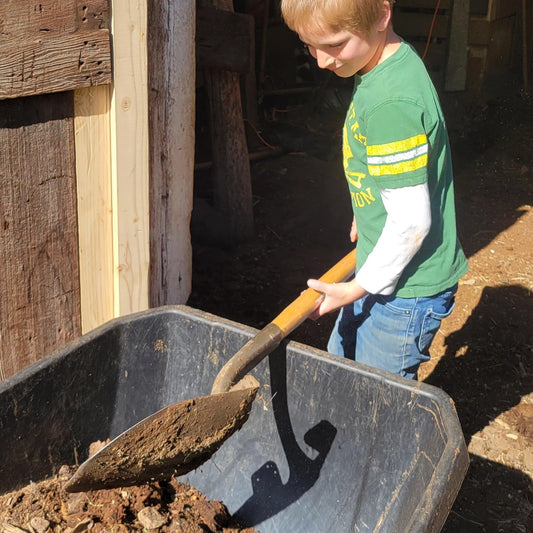 Spring on the Farm